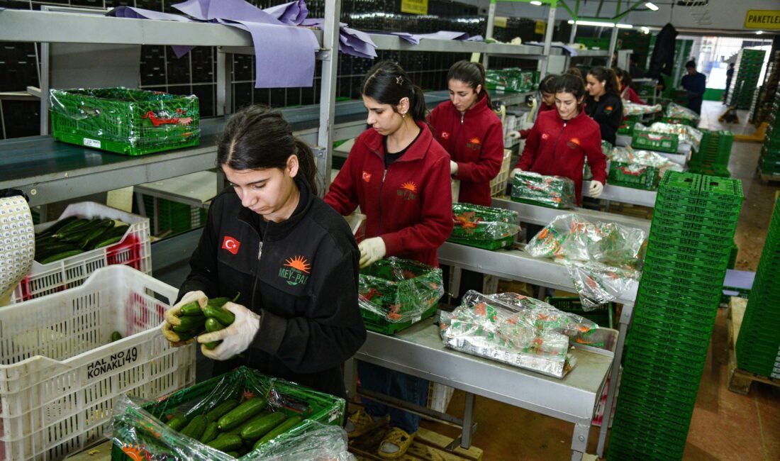 Tolga YILDIRIM/ANTALYA, (DHA)- YAŞ sebze meyve ihtiyacının bir bölümünü düşük