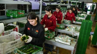 Tolga YILDIRIM/ANTALYA, (DHA)- YAŞ sebze meyve ihtiyacının bir bölümünü düşük