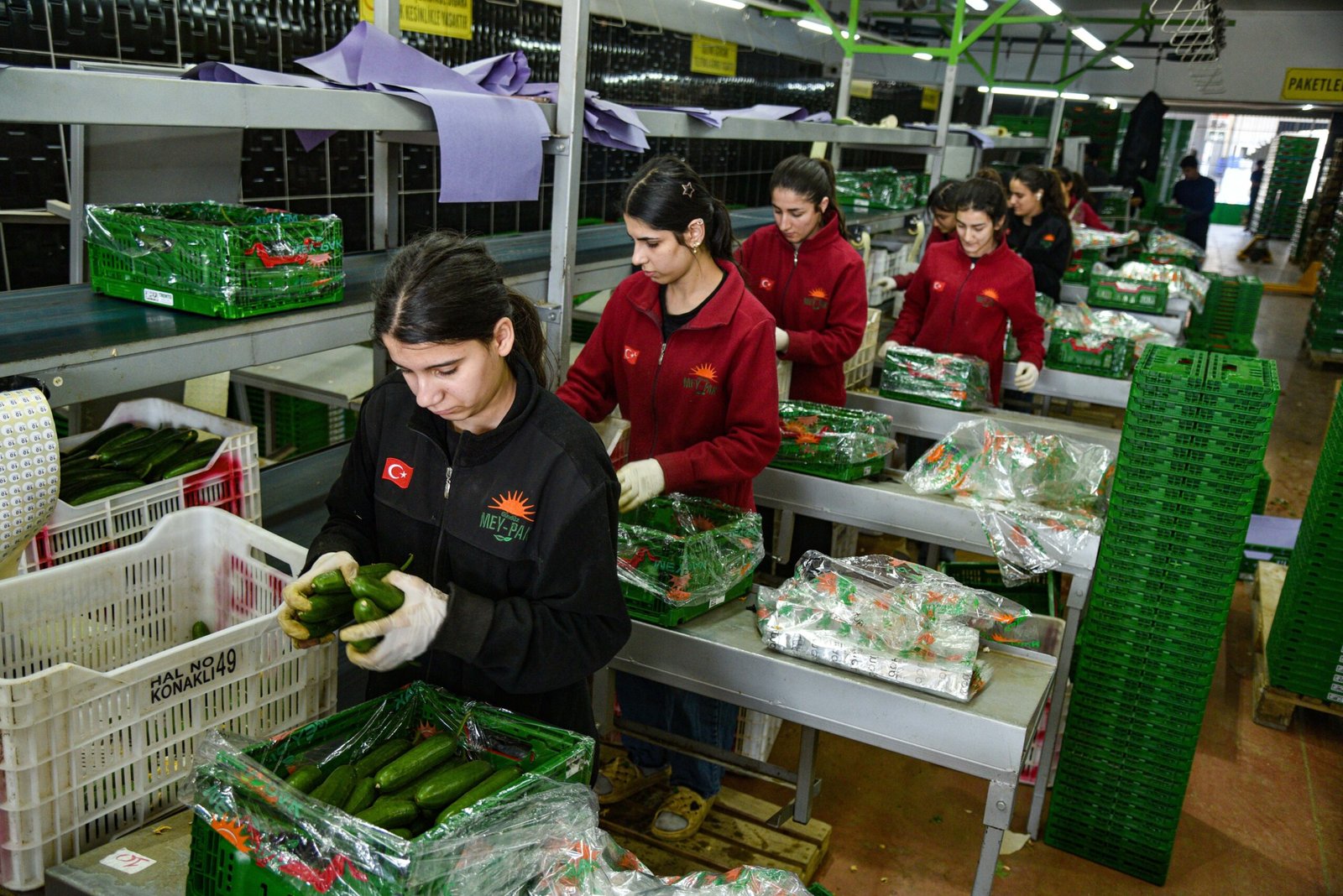 Tolga YILDIRIM/ANTALYA, (DHA)- YAŞ sebze meyve ihtiyacının bir bölümünü düşük