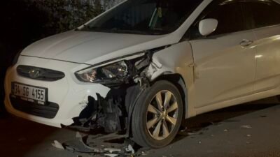 Taylan Ergün / İSTANBUL (DHA) - Arnavutköy'de başıboş şekilde koşan