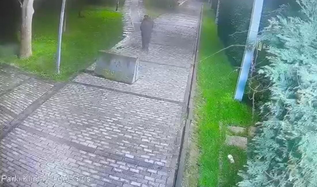 Hasan YILDIRIM/İSTANBUL,(DHA)- BEYOĞLU’nda parkta bir kişinin düşürdüğü cep telefonunu fark