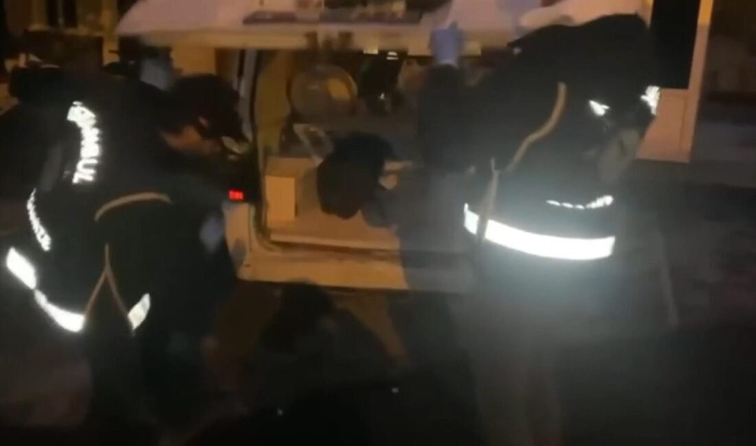 Mehmet Kaan KURT-Derya EVREN KORKMAZ/İSTANBUL,(DHA) -İSTANBUL'da silah kaçakçılığına yönelik düzenlenen