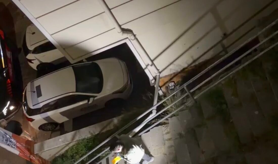 Doğan Can CESUR / İSTANBUL (DHA) - KAĞITHANE’de peyzaj mimarı