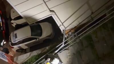 Doğan Can CESUR / İSTANBUL (DHA) - KAĞITHANE’de peyzaj mimarı