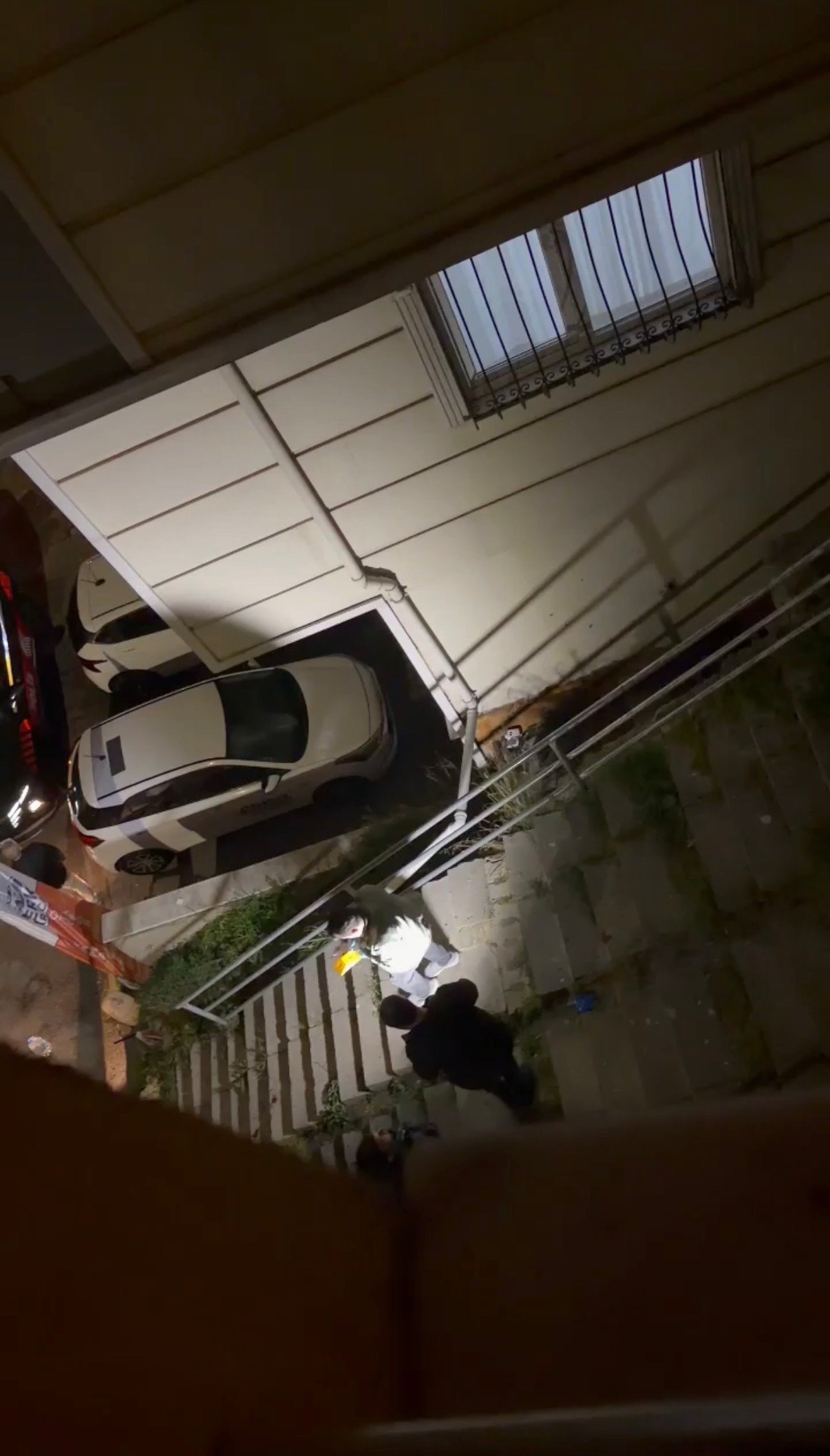 Doğan Can CESUR / İSTANBUL (DHA) - KAĞITHANE’de peyzaj mimarı