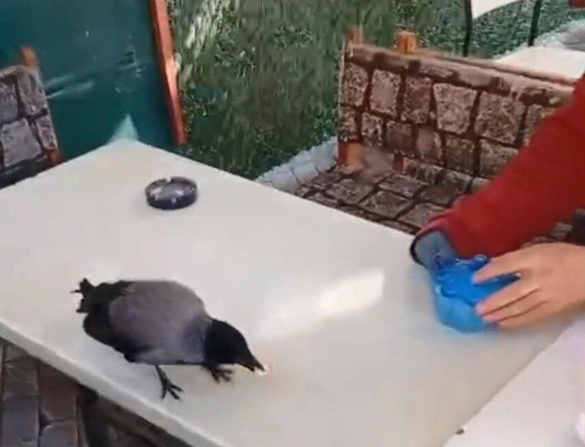 Vehbi DEMİR / İSTANBUL, (DHA) - KÜÇÜKÇEKMECE'de servis minibüsü şoförü