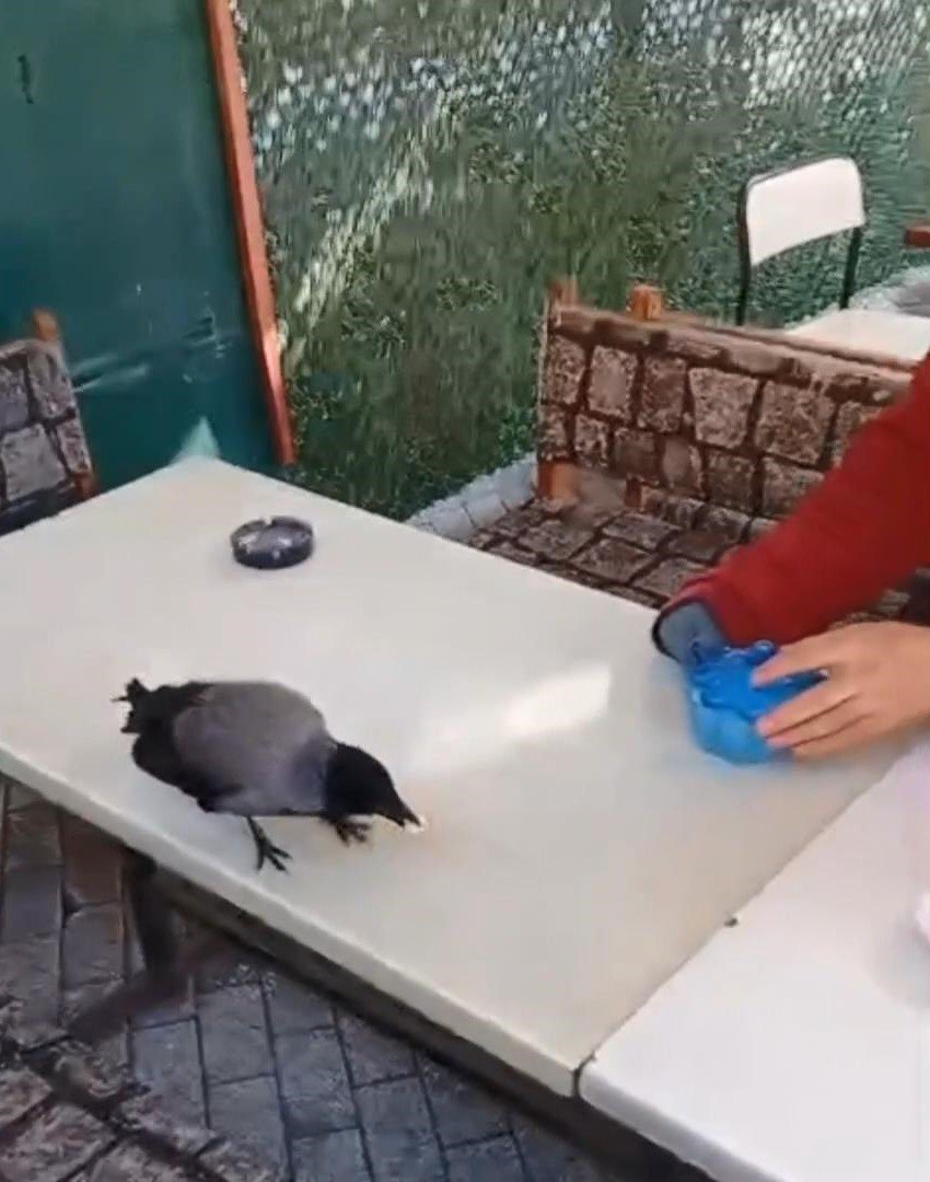 Vehbi DEMİR / İSTANBUL, (DHA) - KÜÇÜKÇEKMECE'de servis minibüsü şoförü