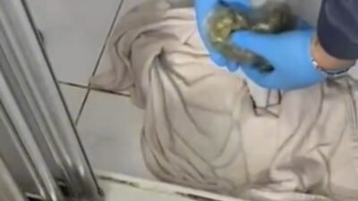 İSTANBUL, (DHA) - MALTEPE'de düzenlenen uyuşturucu operasyonunda 1 şüpheli gözaltına
