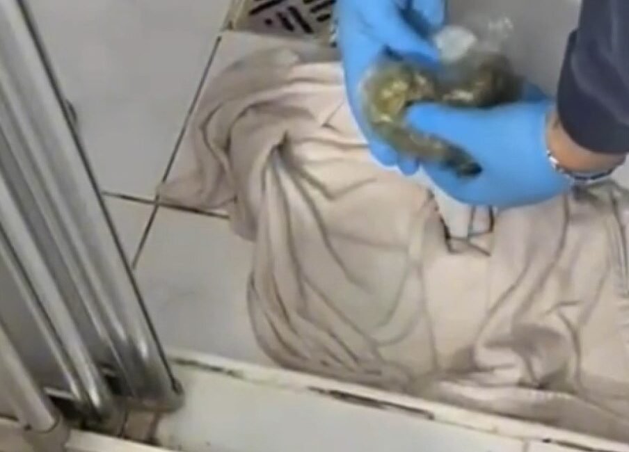 İstanbul – Maltepe’de uyuşturucu operasyonu: 1 tutuklama İSTANBUL, (DHA) - MALTEPE'de düzenlenen uyuşturucu operasyonunda 1 şüpheli gözaltına