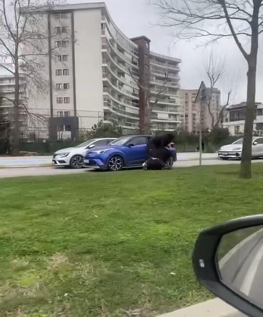 İstanbul – Pendik’te trafik tartışmasında iki kadın saç saça kavga etti İSTANBUL (DHA) Pendik'te trafikte otomobille seyir halinde olan iki kadın