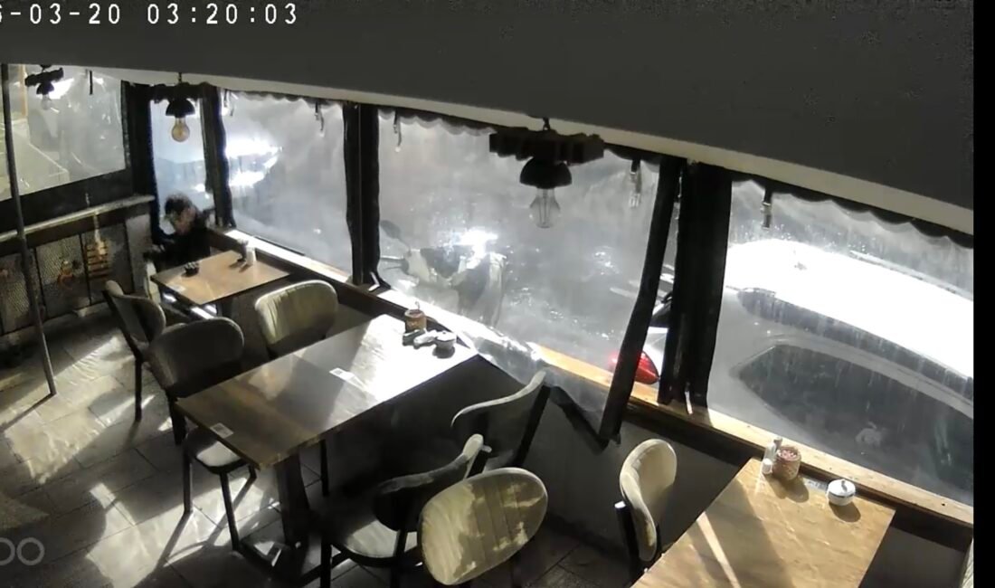 İstanbul – Sarıyer’de boşanma aşamasındaki eşinin iş yerini soydu: Sürpriz yaptım Doğan Can CESUR / İSTANBUL (DHA) - SARIYER’de Esra Poyraz