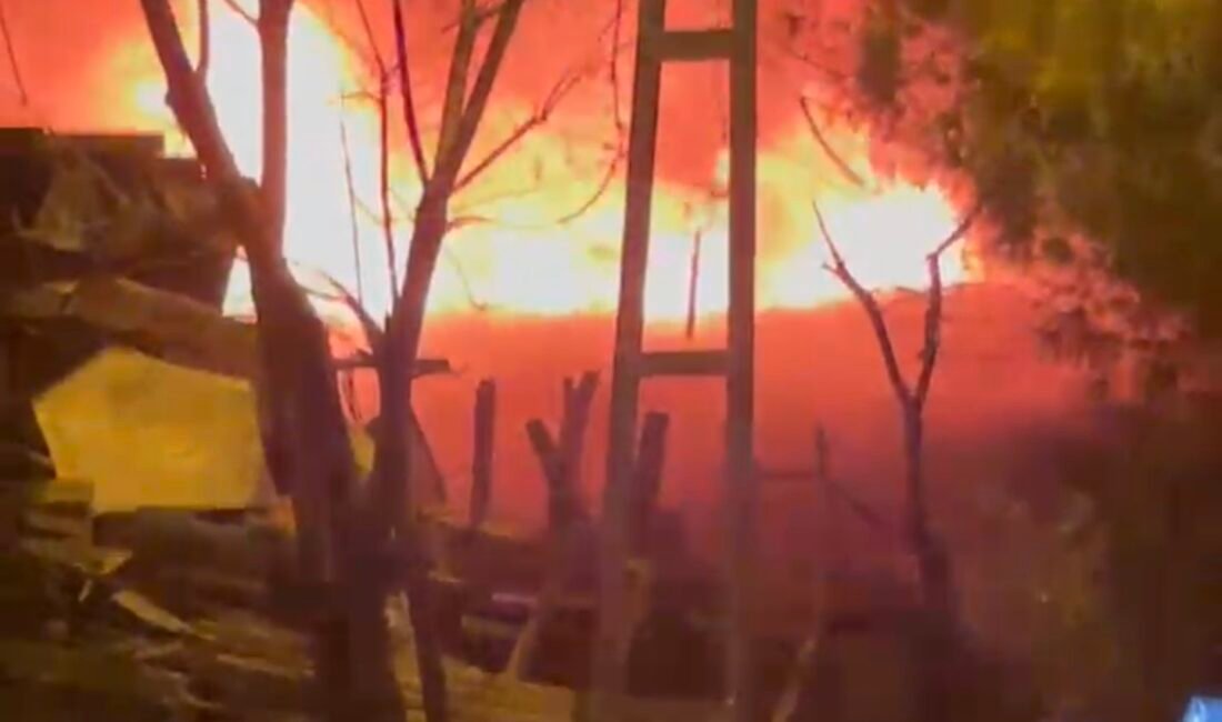 Mert ORDU/İSTANBUL,(DHA)- TUZLA'da bir gecekondudan yükselen alevler kısa sürede büyüyerek