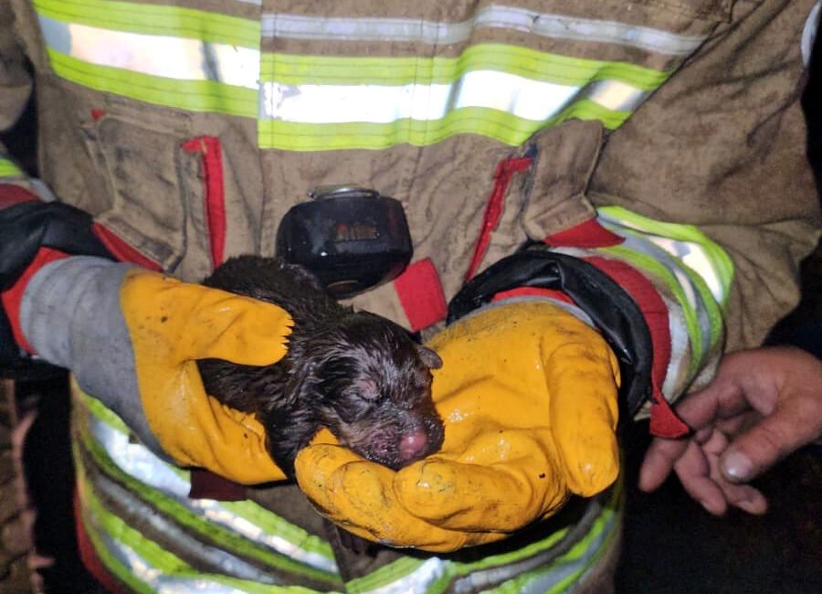 Olgay GÜLER/EDİRNE, (DHA)- EDİRNE’de tek katlı evde çıkan yangında itfaiye,