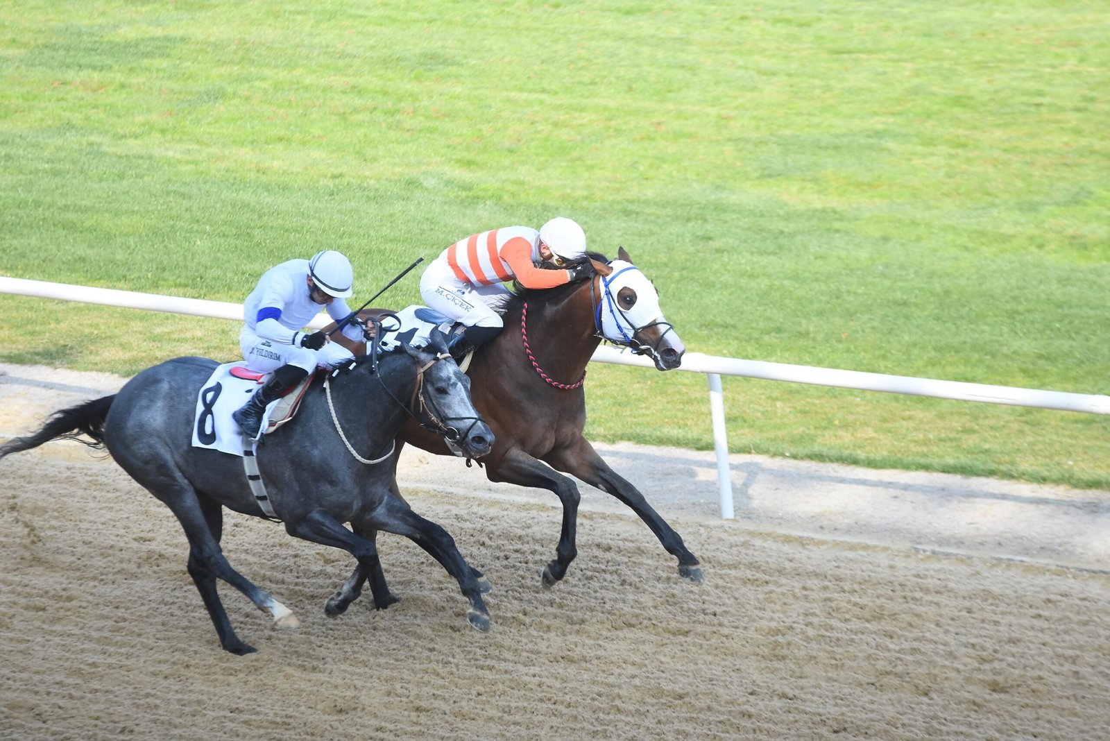 Onur ATIŞ / İZMİR, (DHA)- TÜRKİYE'NİN prestijli at yarışı organizasyonlarından