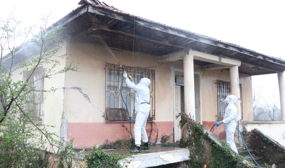 Gökhan İÇKİLLİ/SAMSUN, (DHA)- SAMSUN’da tarımsal üretime zarar veren kahverengi kokarca