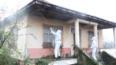 Gökhan İÇKİLLİ/SAMSUN, (DHA)- SAMSUN’da tarımsal üretime zarar veren kahverengi kokarca