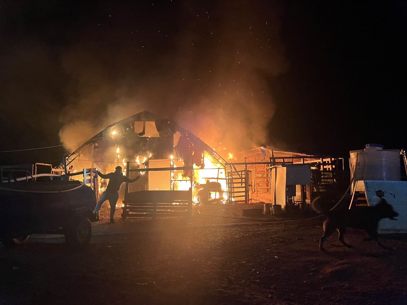 Yavuz YILMAZ/ İNEGÖL(Bursa),(DHA)- BURSA’nın İnegöl ilçesinde kanatlı ve küçükbaş hayvan