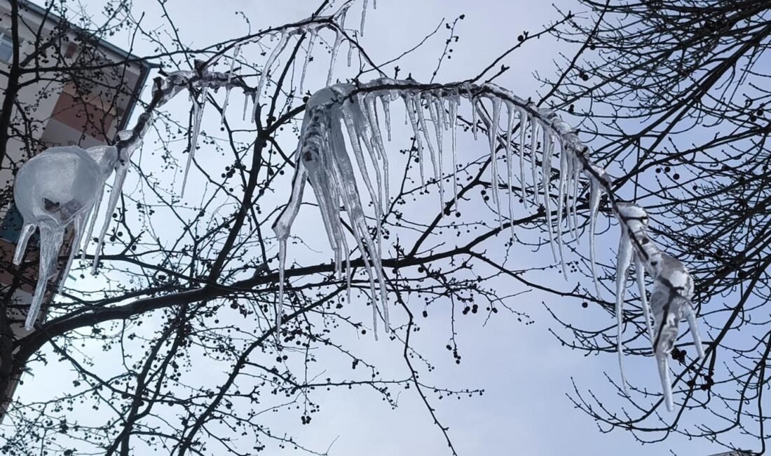 Volkan KARABAĞ/KARS, (DHA)-KARS'ta kar yağışı sonrası hava sıcaklığı aniden düşerken,