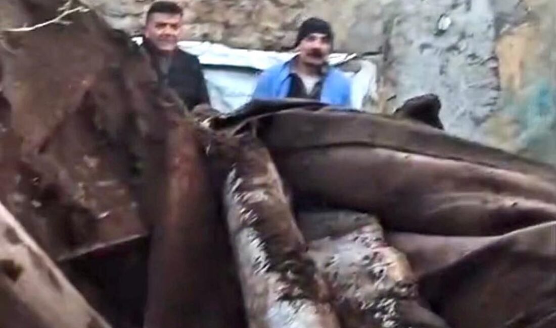 Kars’ta ahır çöktü, çoban son anda kurtuldu Bedir ALTUNOK/ KARS, (DHA)- KARS merkeze bağlı Yücelen köyünde bir