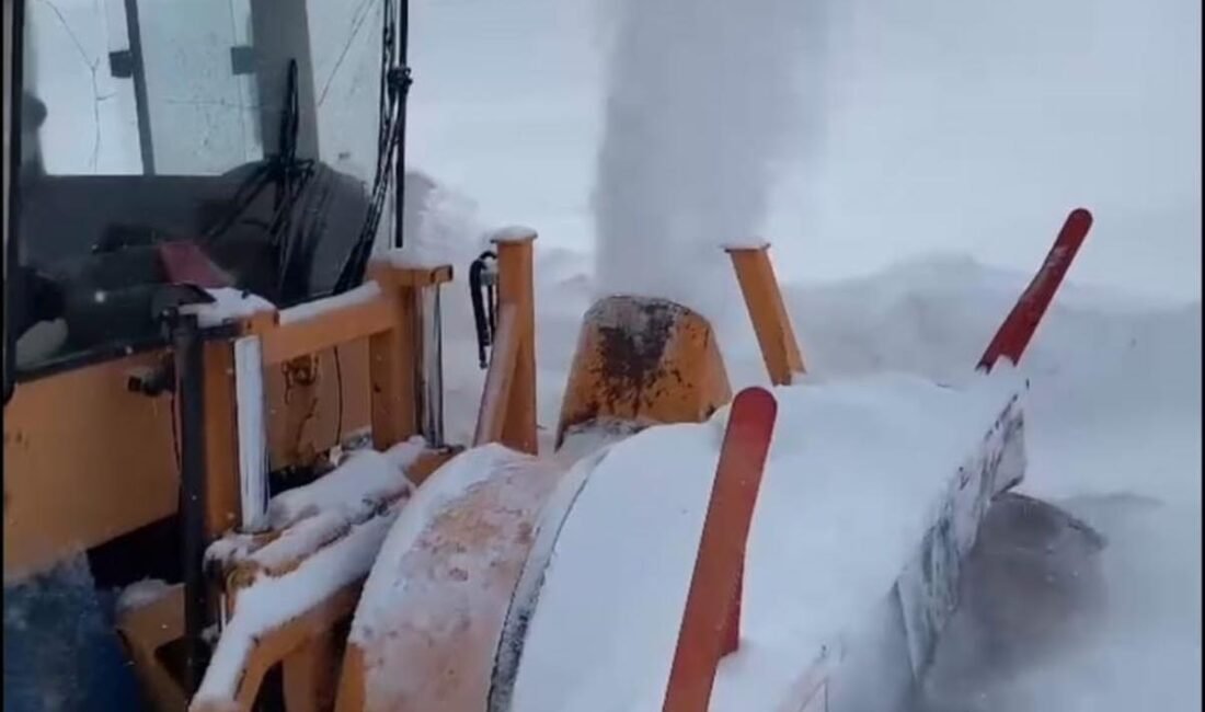 Volkan KARABAĞ/KARS, (DHA)- KARS’ın Arpaçay ilçesi Taşlıağıl köyünde, yaklaşık 3