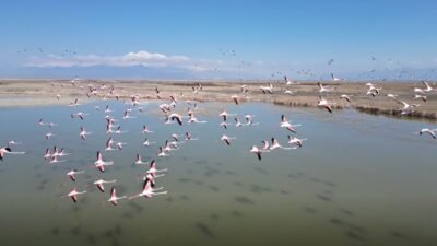 Metin DEĞİRMENCİ/YEŞİLHİSAR (Kayseri), (DHA)- CUMHURBAŞKANLIĞI kararı ile kesin korunacak hassas