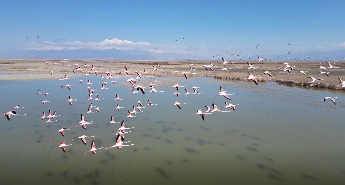 Metin DEĞİRMENCİ/YEŞİLHİSAR (Kayseri), (DHA)- CUMHURBAŞKANLIĞI kararı ile kesin korunacak hassas