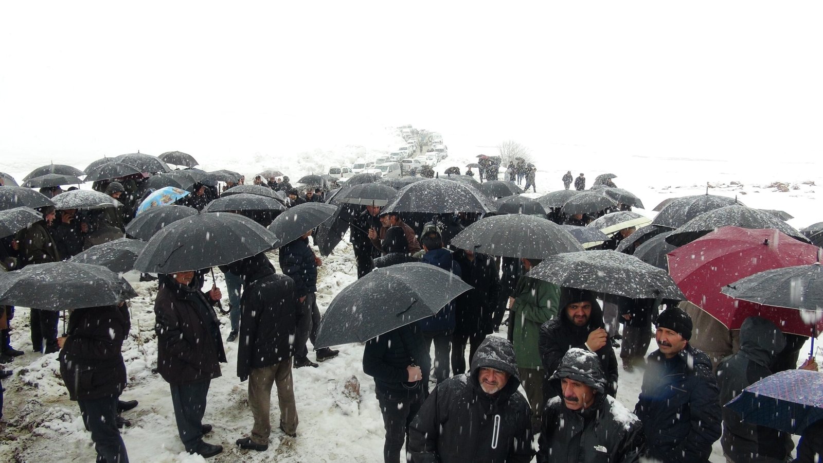 Yaşar KAPLAN/ YÜKSEKOVA(Hakkari), (DHA)- BİTLİS’in Tatvan ilçesinde otomobilin, karşı yönden