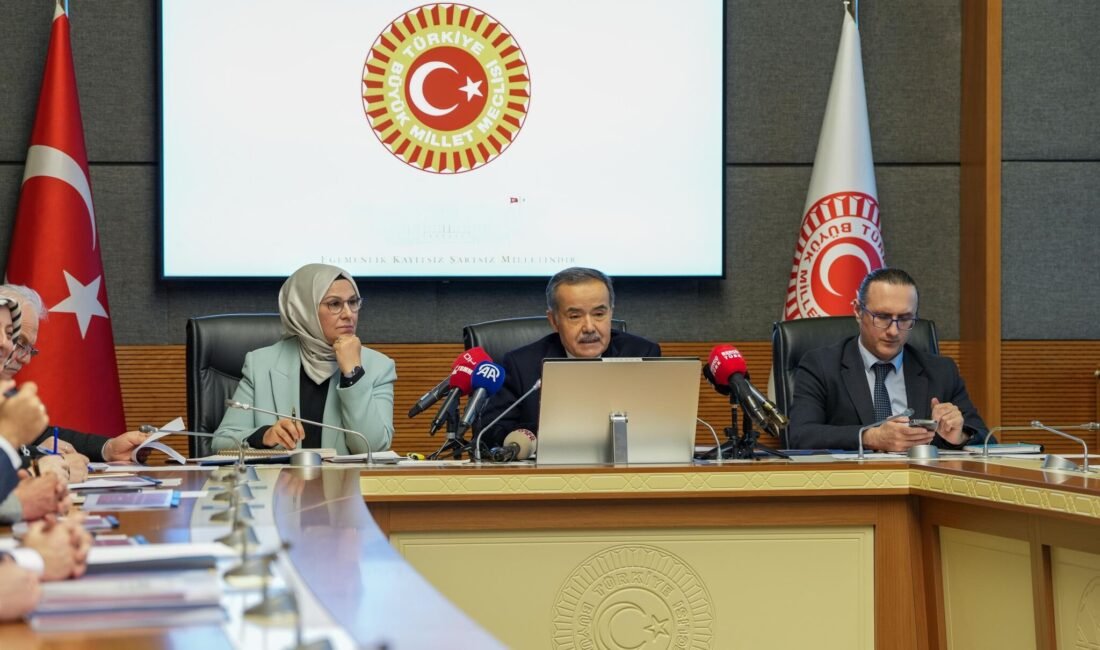 Aliekber METE/ANKARA, (DHA)- TBMM Başkanlığı'na sunulan Çocuklara Karşı Şiddet ve