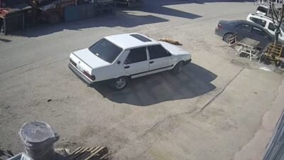 Oğuzhan EKE/BOLU, (DHA)-BOLU'da yerde yatan köpeğin üzerinden arabası ile geçip,