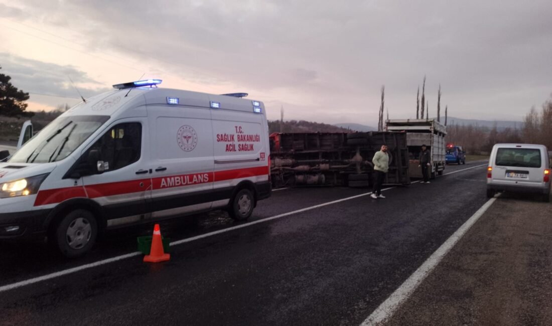 Mustafa YİĞİT/DOMANİÇ (Kütahya),(DHA)-KÜTAHYA’nın Domaniç ilçesinde meyve taşıyan kamyonetin devrilmesi sonucu