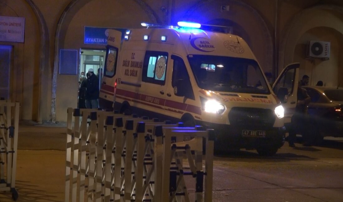 Salih KESKİN/ MAZIDAĞI(Mardin), (DHA)- MARDİN’in Mazıdağı ilçesinde Zuhal Sayyar (16),