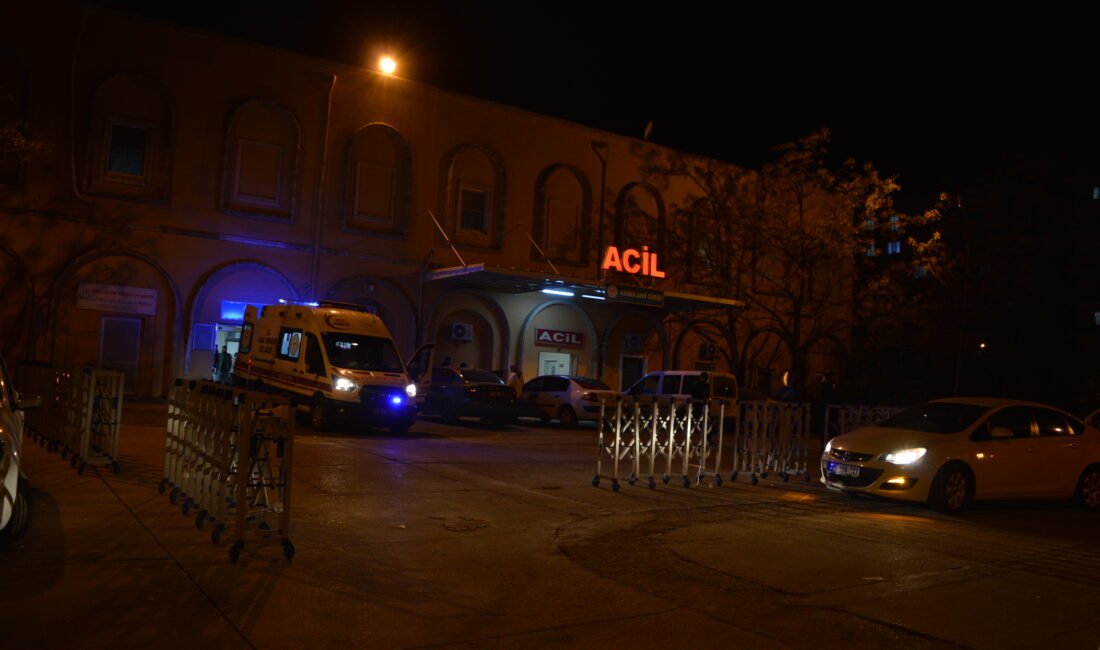 Salih KESKİN/SAVUR (Mardin), (DHA)- MARDİN’in Savur ilçesinde hayvan otlatırken dereye