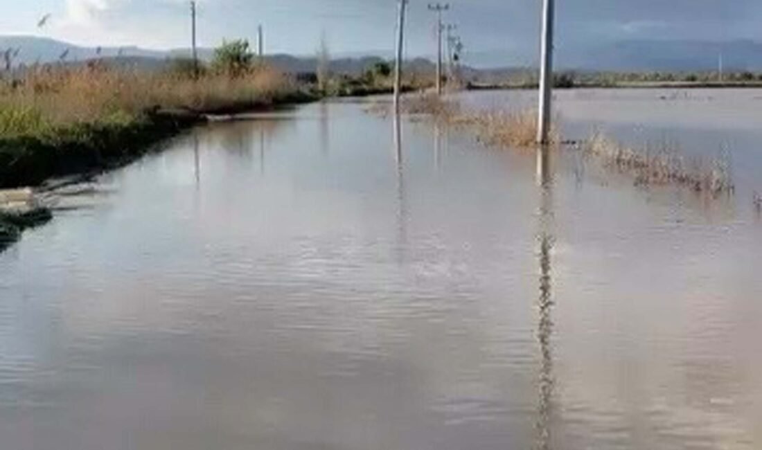 Melek FIRAT/ AYDIN, (DHA)- AYDIN ve çevre illerde etkili olan