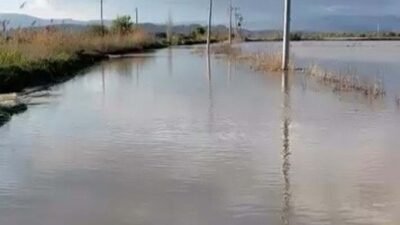 Melek FIRAT/ AYDIN, (DHA)- AYDIN ve çevre illerde etkili olan