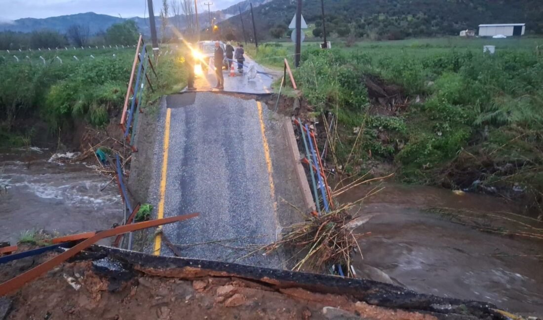 Fırat AKAY / BODRUM (Muğla), (DHA)-MUĞLA’nın Milas ilçesinde, etkili olan