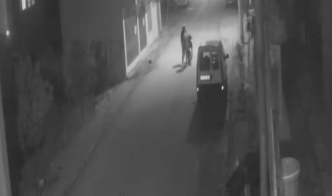 Alican GÜMÜŞ/HATAY, (DHA)-HATAY'ın Samandağ ilçesinde 2 kişi, park halindeki motosikleti