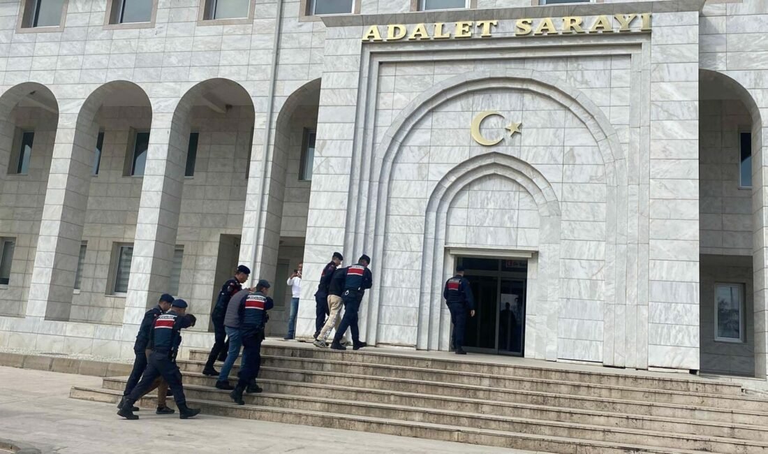 Fırat AKAY/BODRUM (Muğla), (DHA)- MUĞLA’nın Milas ilçesinde jandarma tarafından yakalanan