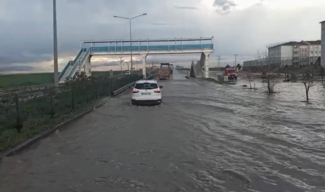 Ahmet AKKUŞ/NUSAYBİN (Mardin), (DHA) - MARDİN'in Nusaybin ilçesinde etkili olan