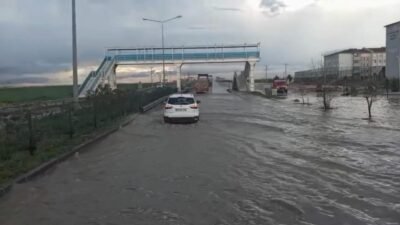 Ahmet AKKUŞ/NUSAYBİN (Mardin), (DHA) - MARDİN'in Nusaybin ilçesinde etkili olan