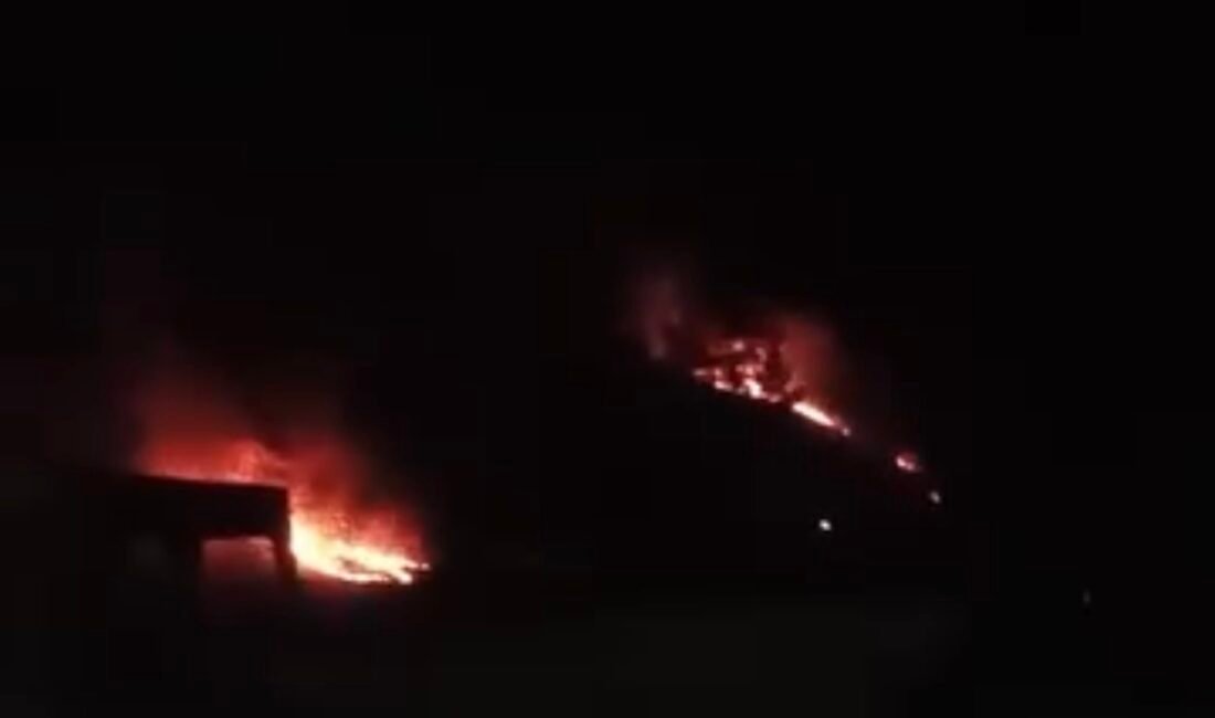 Murat ÖZELCİ/KARABÜK, (DHA)- KARABÜK’te demir yolu hattının yanında bulunan ormanda