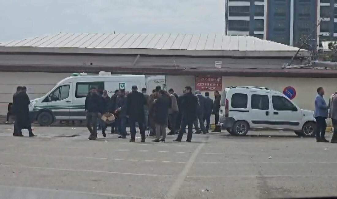 Ömer ŞULUL/ŞANLIURFA, (DHA)- ŞANLIURFA'da evlerinin yakınında oyun oynarken su dolu