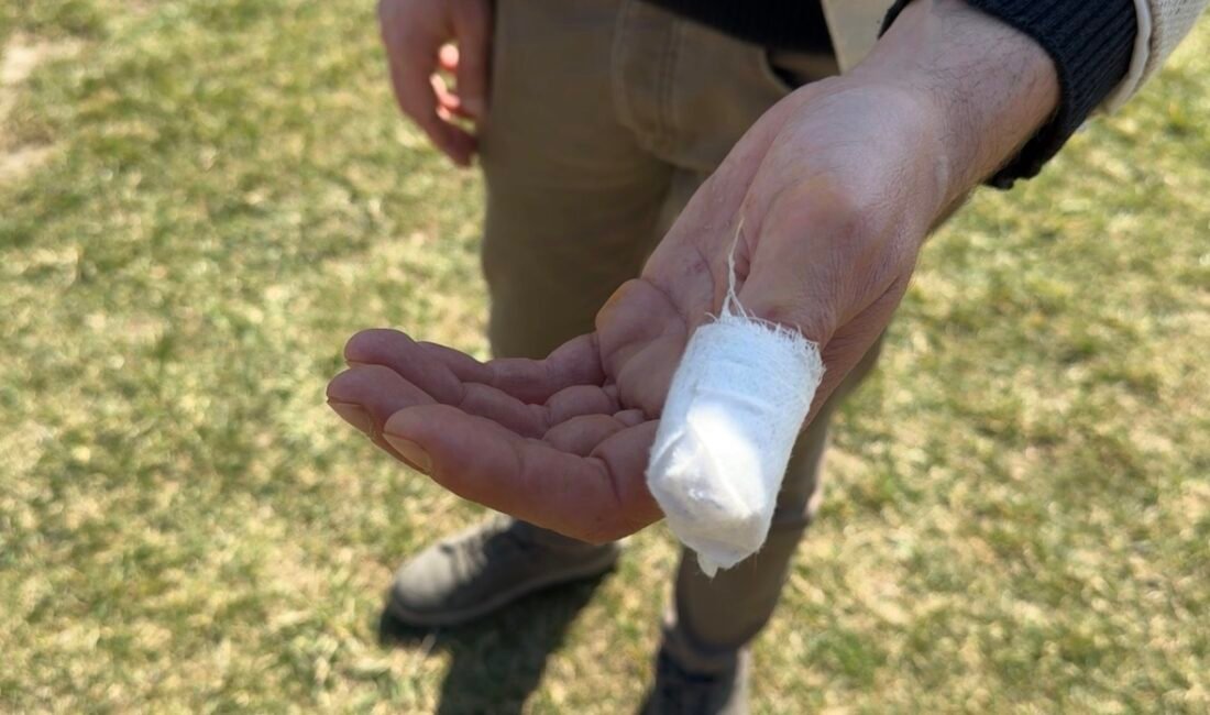 Murat ÖZELCİ/KARABÜK, (DHA)- KARABÜK’te, yasaklı ırk olan pitbull cinsi köpeğin