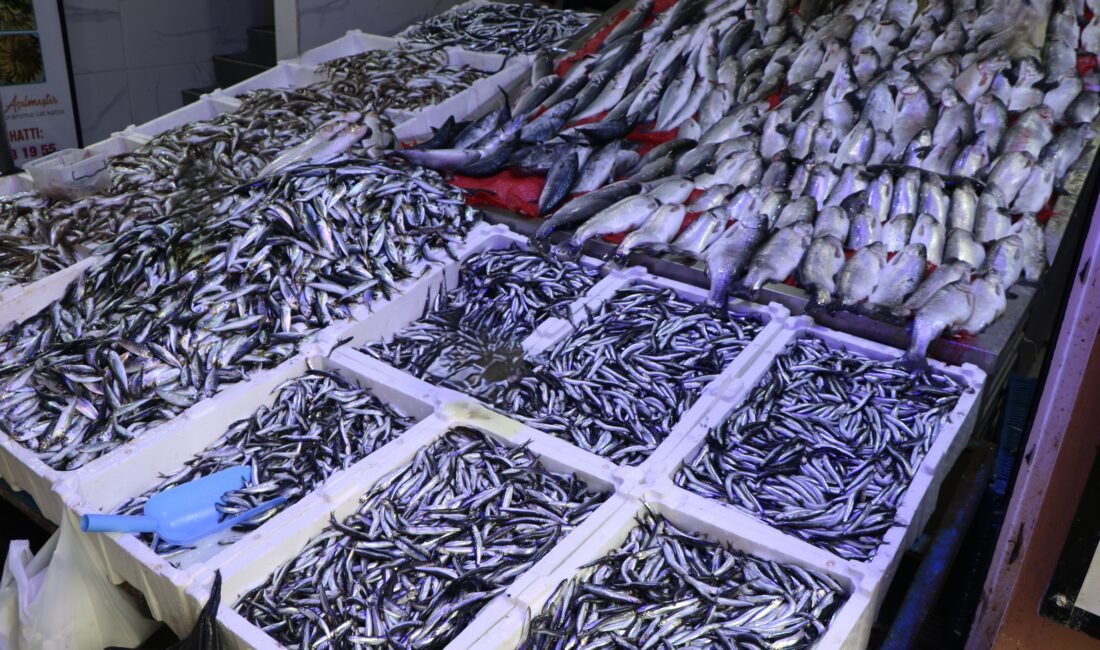 Berkay YILDIZ/SAMSUN, (DHA)- SAMSUN Su Ürünleri Kooperatifleri Birliği Başkanı Atıf