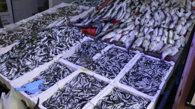 Berkay YILDIZ/SAMSUN, (DHA)- SAMSUN Su Ürünleri Kooperatifleri Birliği Başkanı Atıf