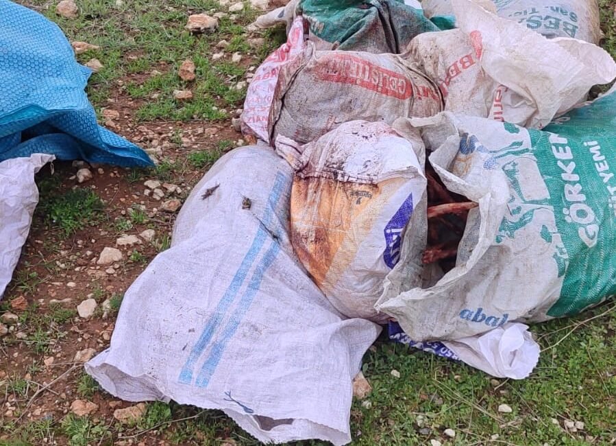 Şanlıurfa´da çuvallarda kesilmiş at başı bulundu Ömer ŞULUL/ŞANLIURFA, (DHA)- ŞANLIURFA'da, tarlada çuvallar içerisinde, kesilmiş at başı