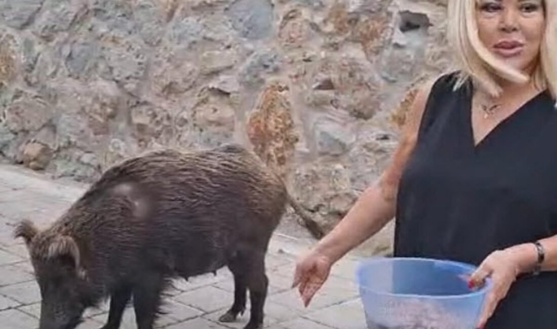 Fırat AKAY/BODRUM (Muğla), (DHA)- MUĞLA’nın Bodrum ilçesinde şarkıcı Safiye Soyman,