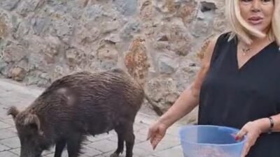 Fırat AKAY/BODRUM (Muğla), (DHA)- MUĞLA’nın Bodrum ilçesinde şarkıcı Safiye Soyman,