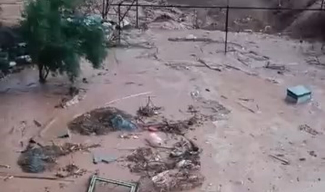 Sekvan KÜDEN/ ŞIRNAK, (DHA)- ŞIRNAK merkeze bağlı Kasrik beldesinde etkili