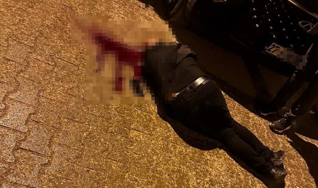 Sekvan KÜDEN/CİZRE (Şırnak), (DHA)- ŞIRNAK'ın Cizre ilçesinde sokakta yürürken uğradığı