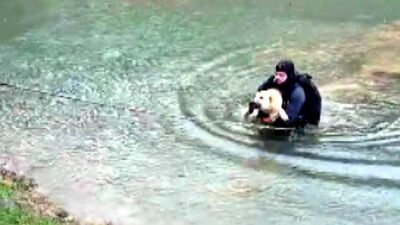 Ömer KOÇ/KAHRAMANMARAŞ, (DHA)- KAHRAMANMARAŞ’ta suyla çevrili bölgede mahsur kalan köpeği,